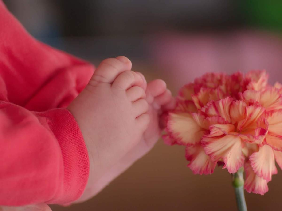 Lekcija o strpljenju